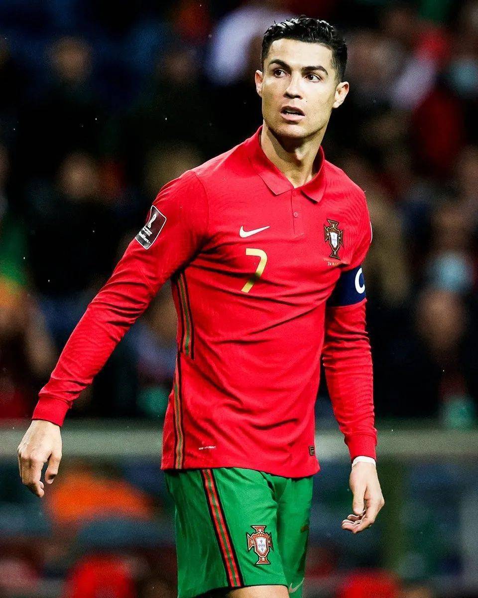 山东培养的 山东培养的